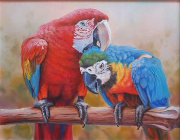 Parrots. Karavaytsev Andrey