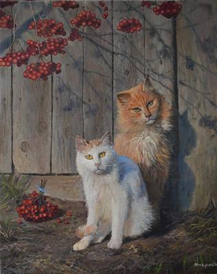 ������� ��� ���� ��� ���� - ����������� �������!�