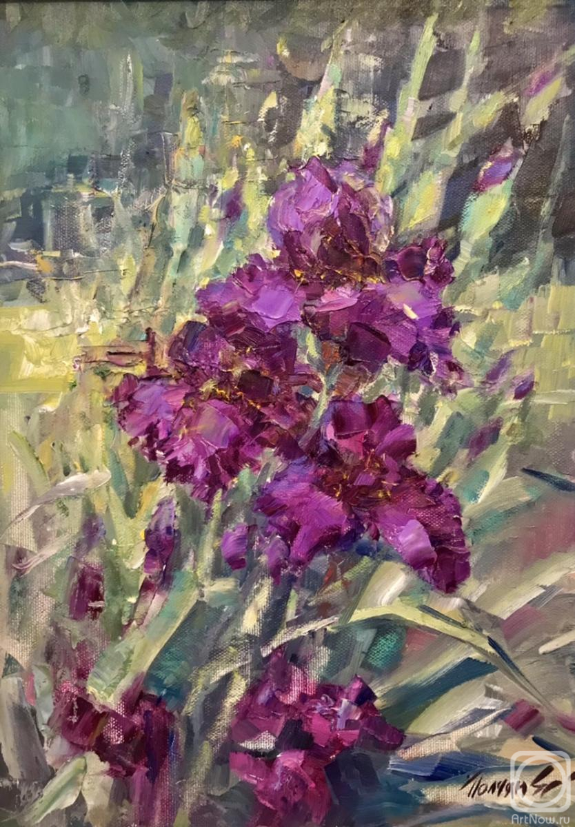 Poluyan Yelena. Irises in the garden