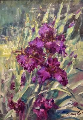 Irises in the garden. Poluyan Yelena