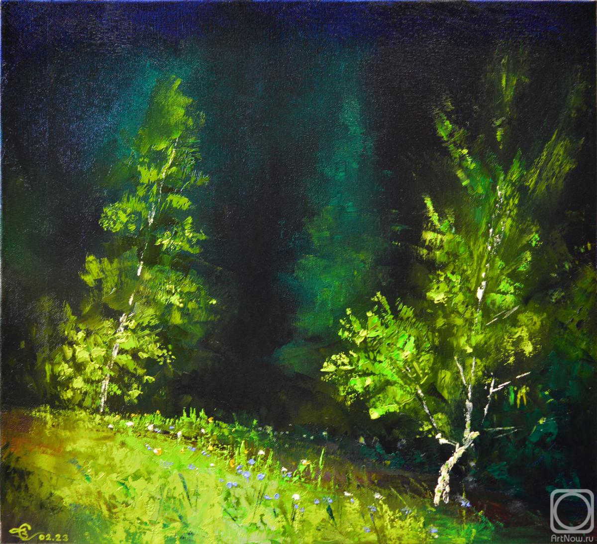 Stolyarov Vadim. Night forest in the headlights