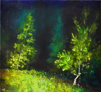 Night forest in the headlights. Stolyarov Vadim