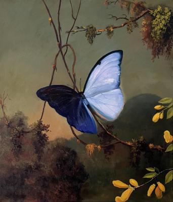 Butterfly. Osadchuk Nataliya