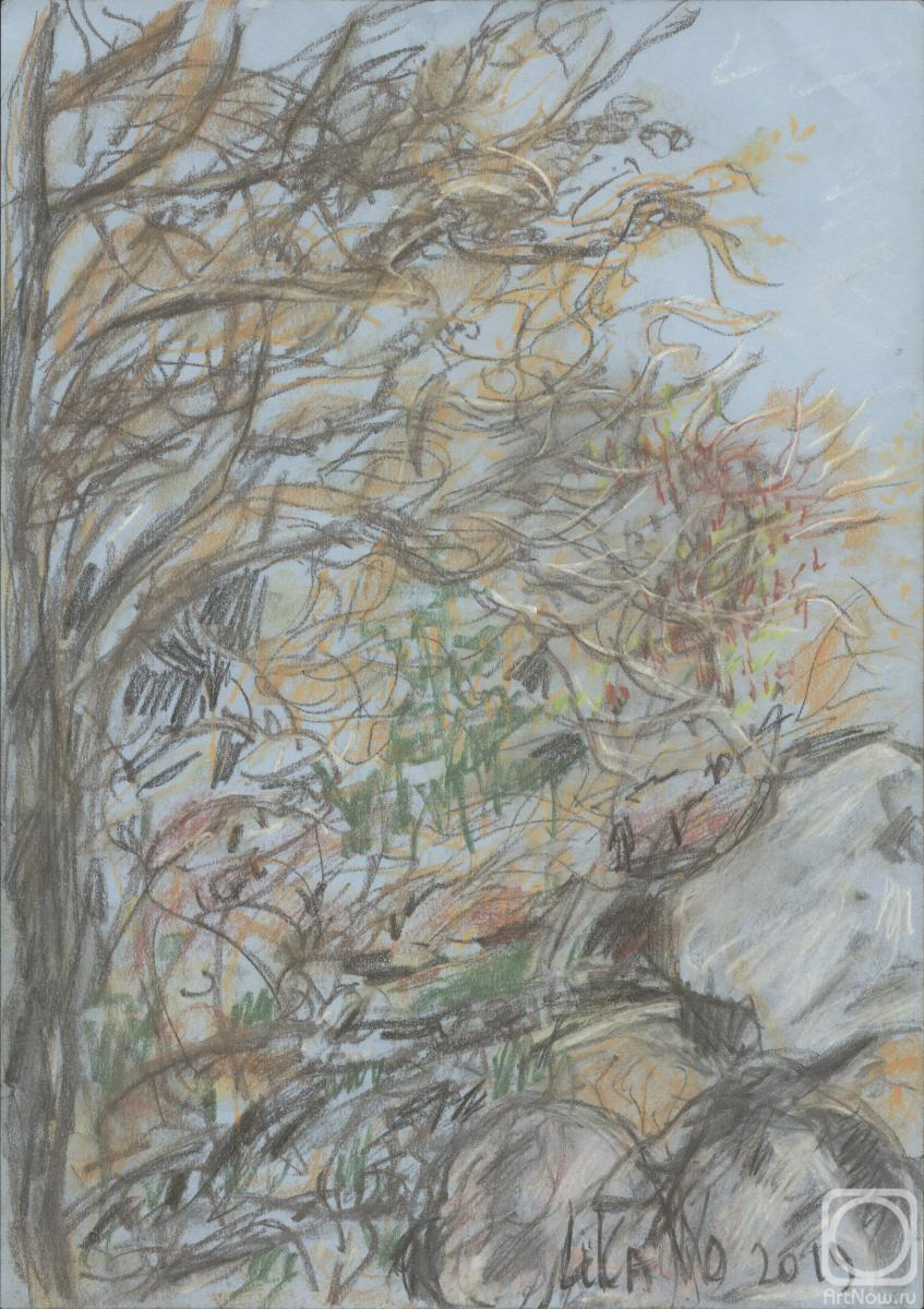 �������. ������ ����. �� ������ �������� ������ 30 ������