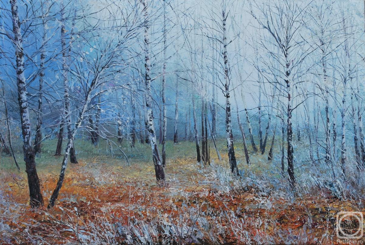 Vokhmin Ivan. The cold weather came