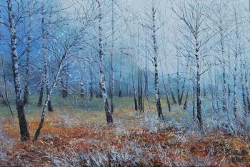 The cold weather came. Vokhmin Ivan