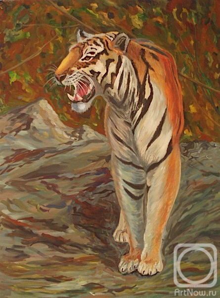 �������. �������� ������. ����