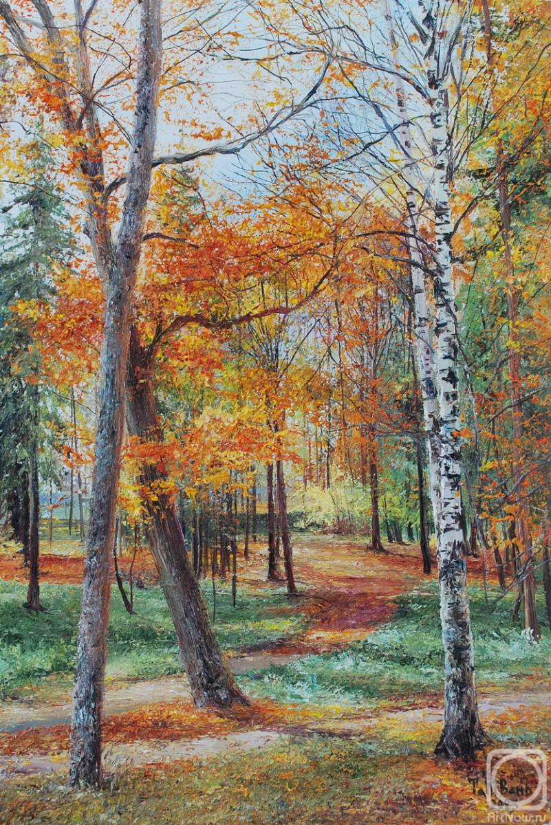 Vokhmin Ivan. Paths in the autumn park