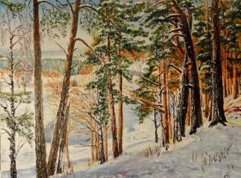 The bank of the Moskva River