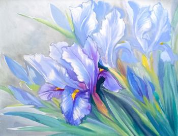 ����� ����� (����� ����������). ���������� ���������