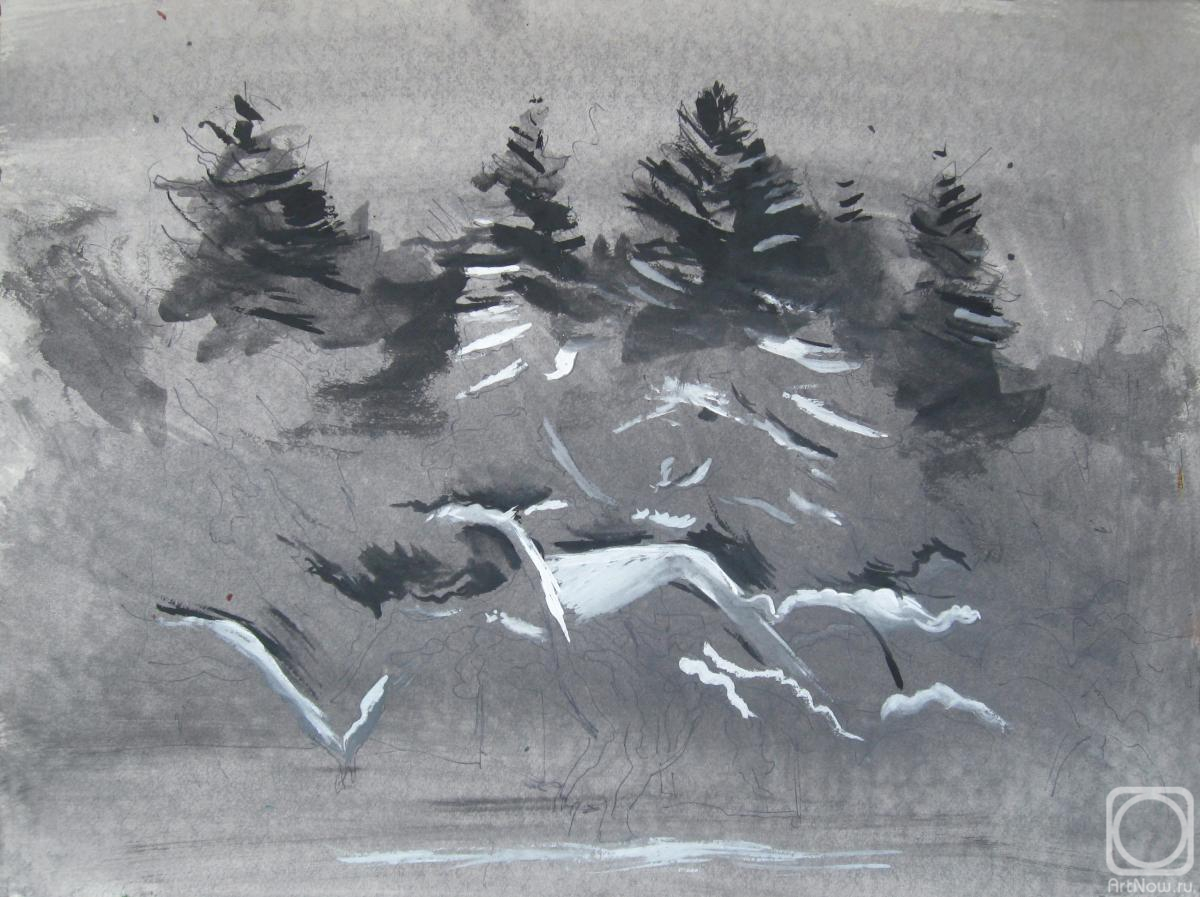 �������. ����� �����. ����. ���������