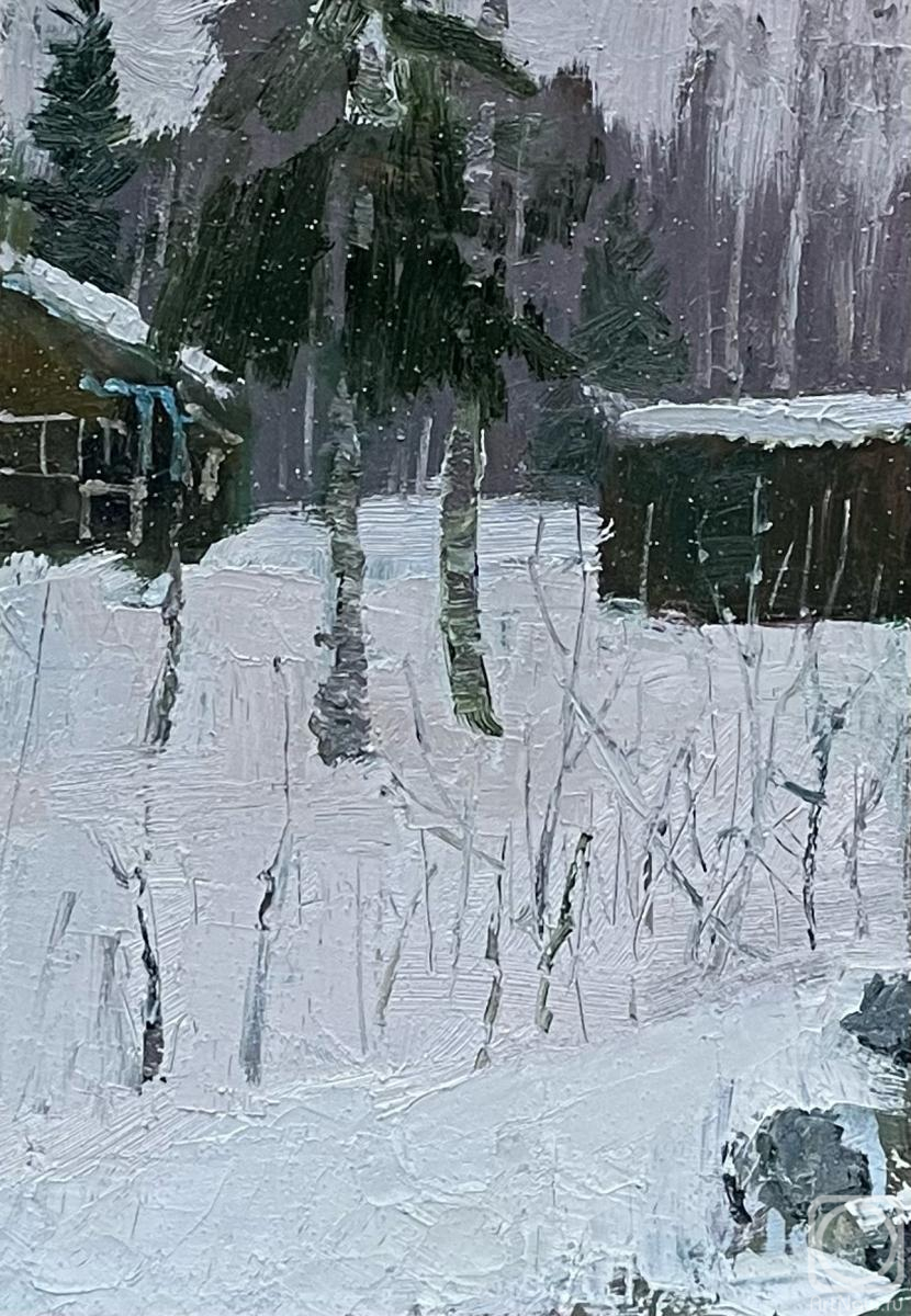 Sazykina Olga. Snowy February