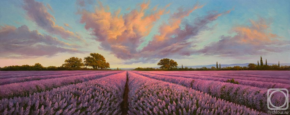 Zhaldak Edward. Lavender fields