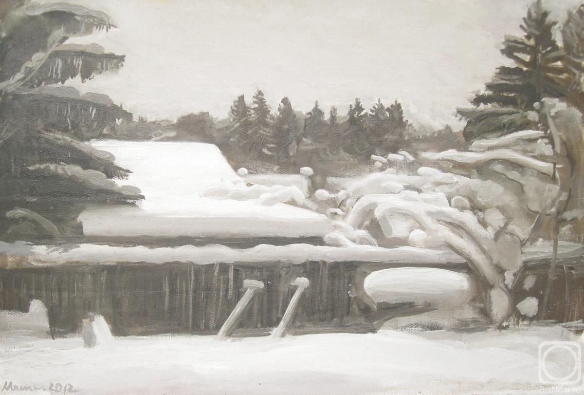 Mashin Igor. In the white silence