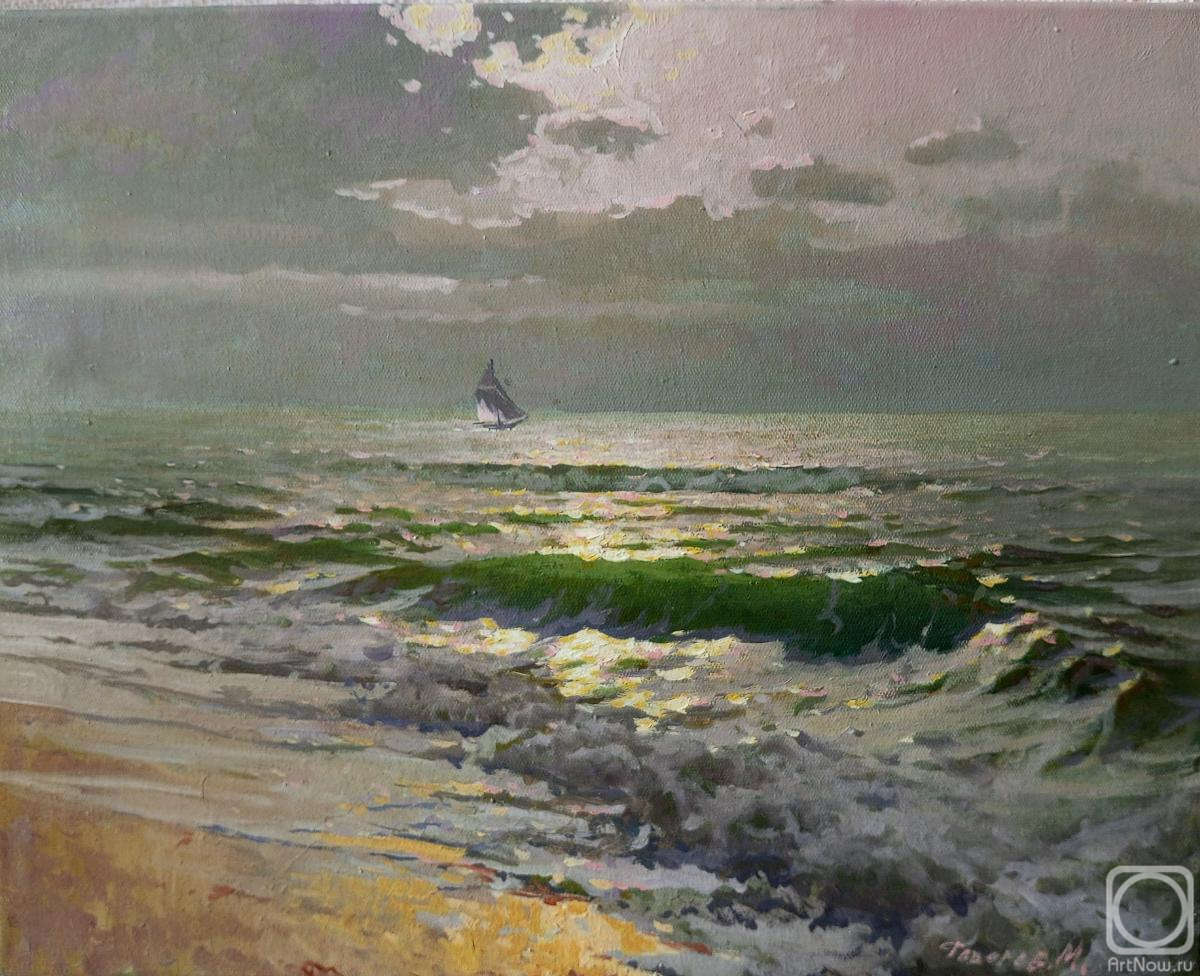 Fedorov Mihail. Surf in the Coastal