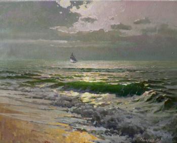 Surf in the Coastal (Gray Clouds). Fedorov Mihail