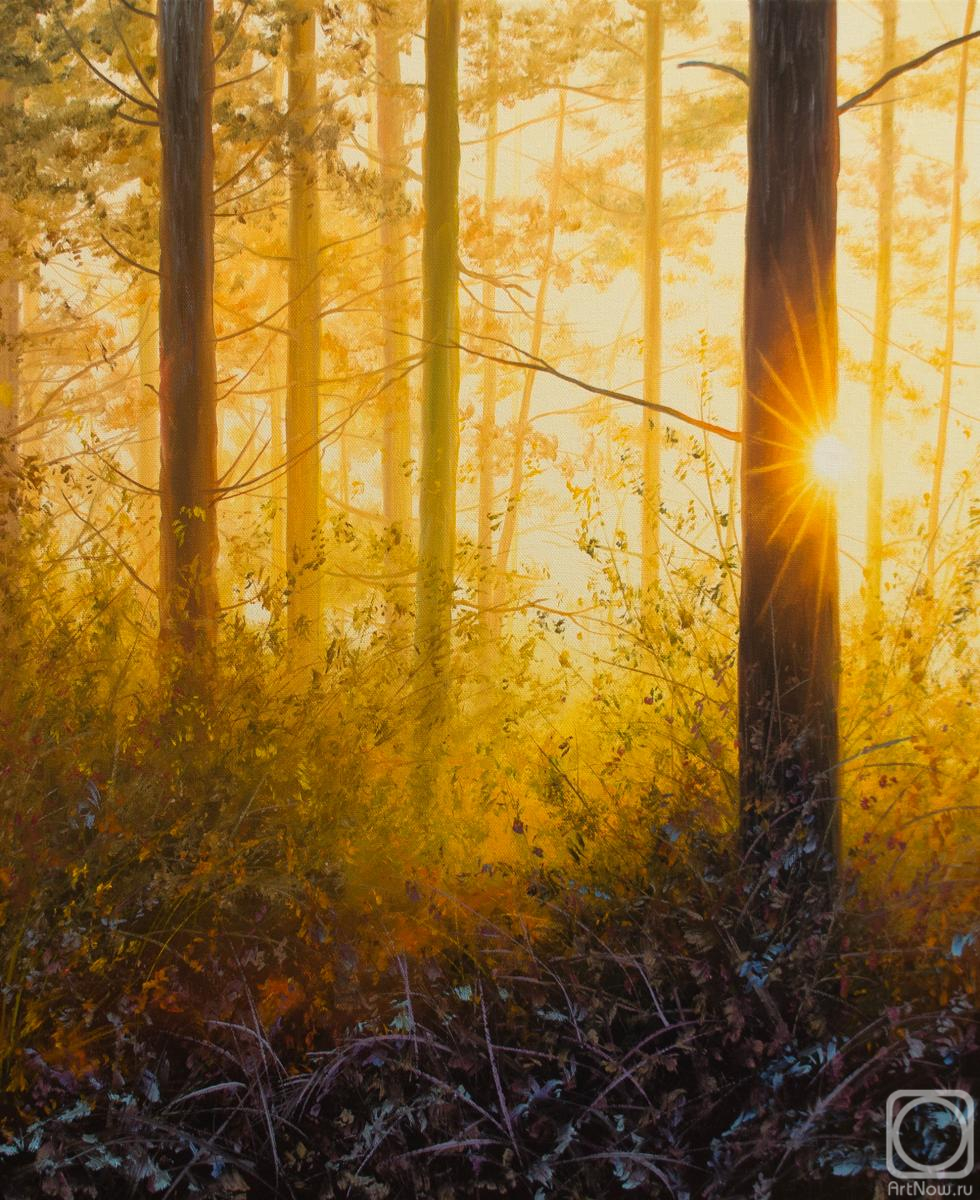 ������� ������ �� ������. ��� ��������. ������