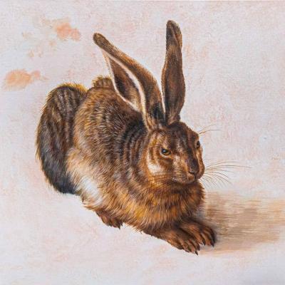 Copy of Albrecht D&#252;rer's painting. Young Hare