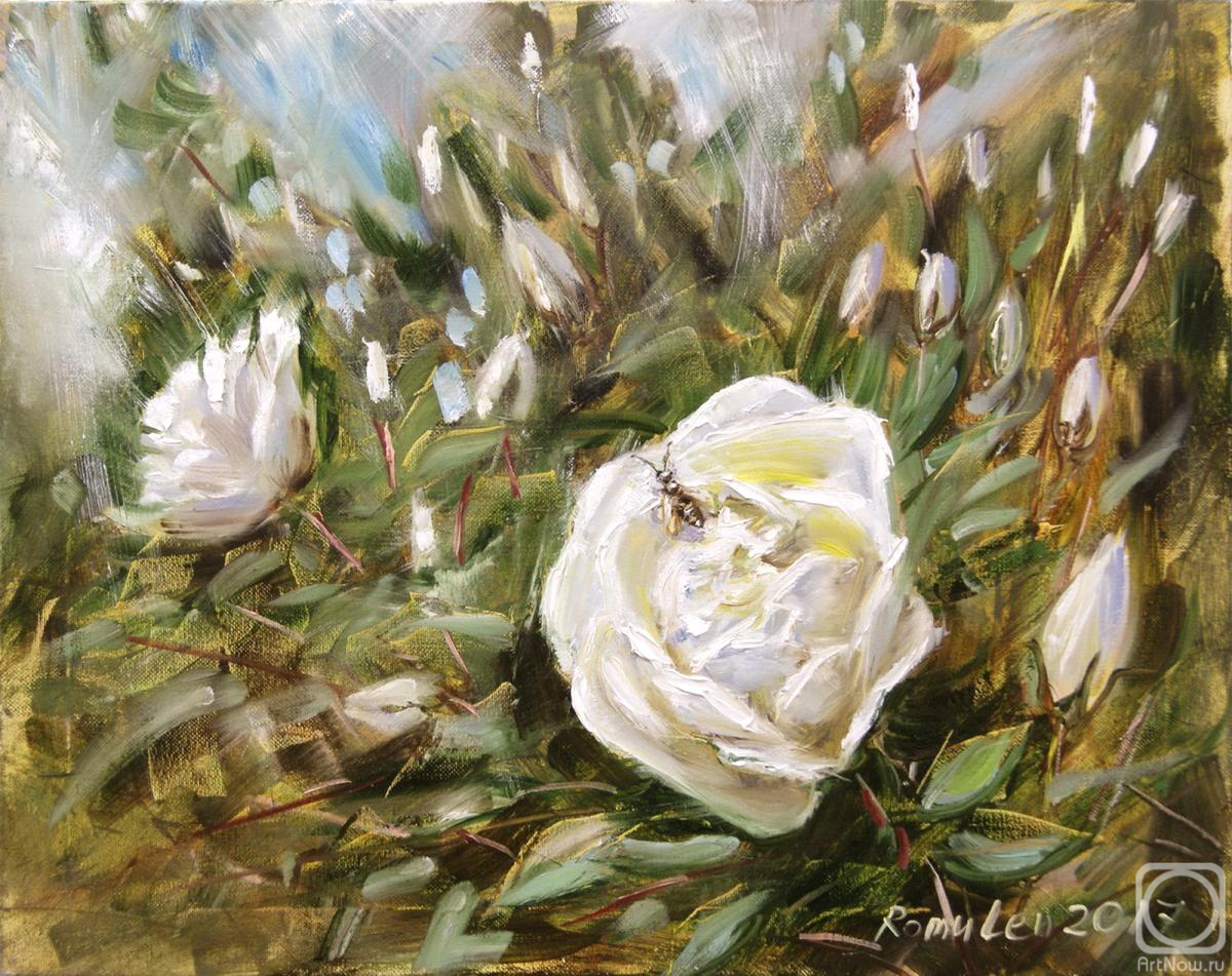 ������� ������ �� ������. ���������� �����. ������