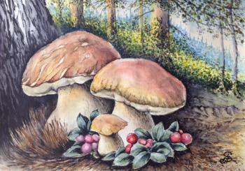 Mushroom summer. Smetankin Anatoliy