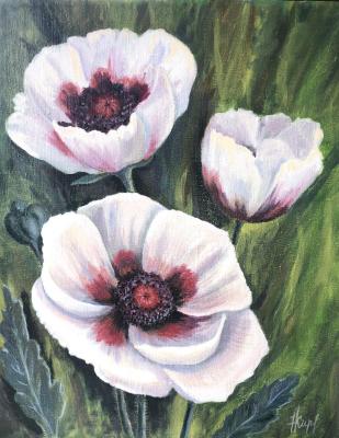 White poppies (Painting With Poppies). Kirilina Nadezhda
