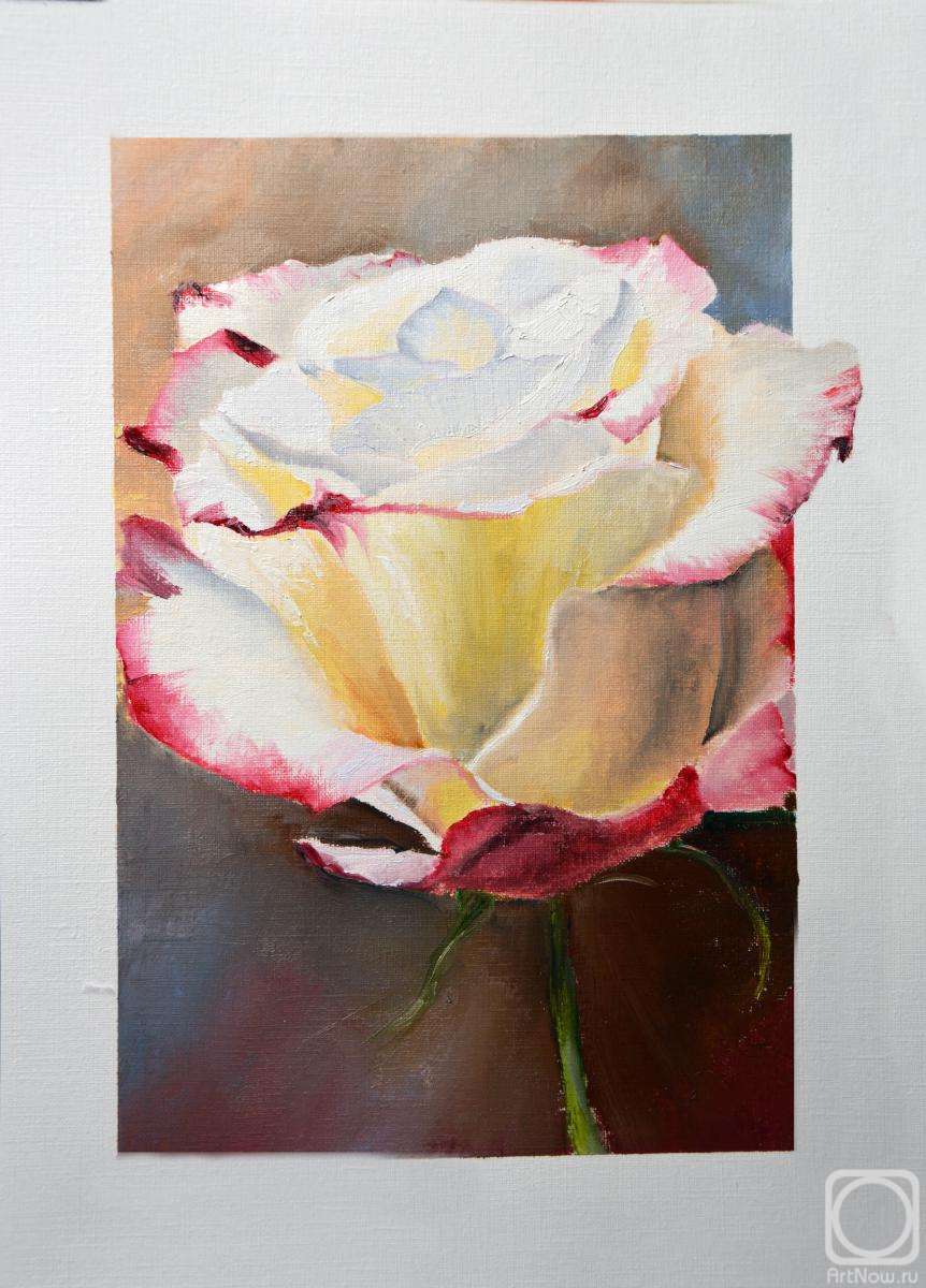 �������. �������� �����. ����-�������� ����