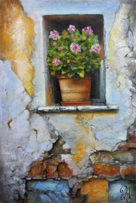 Geranium in the window ( ). Mahonina Zilya