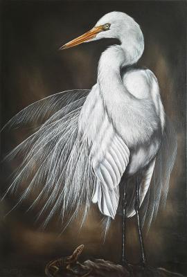 Great Egret. Parukova Ekaterina