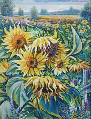 Sunflowers. Sorokin Viktor