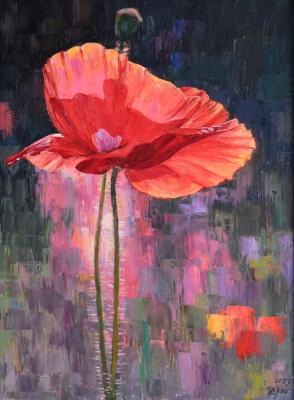 ������� ����