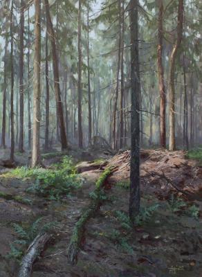 The quiet voice of the morning forest (Quiet Coolness). Syuhina Anastasiya