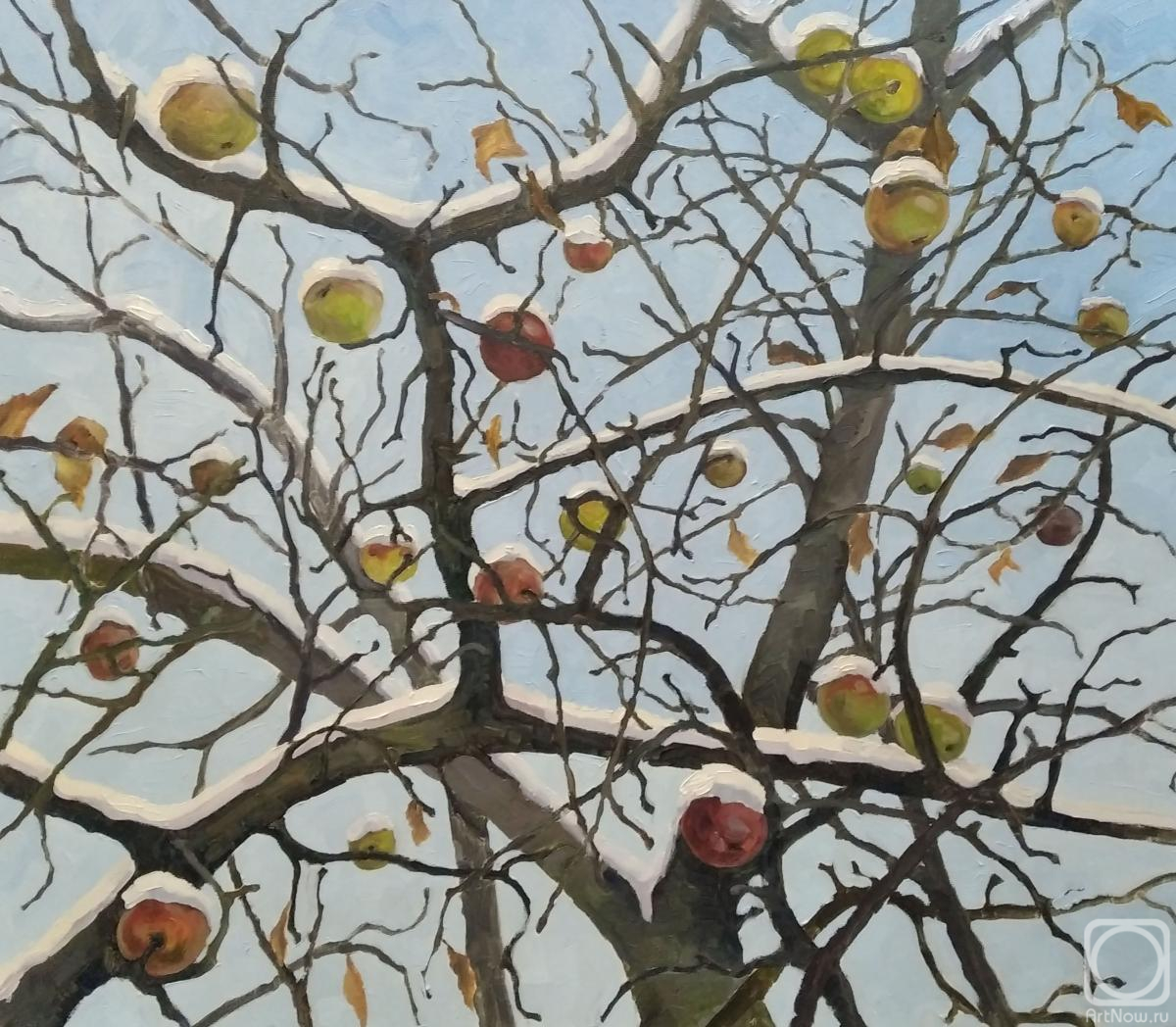 ������� ������ �� ������. �������� ���. ������ ������