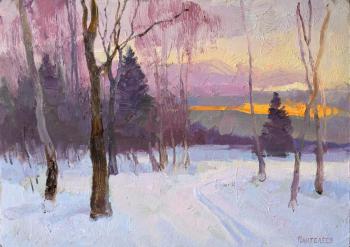 Sunset in the forest