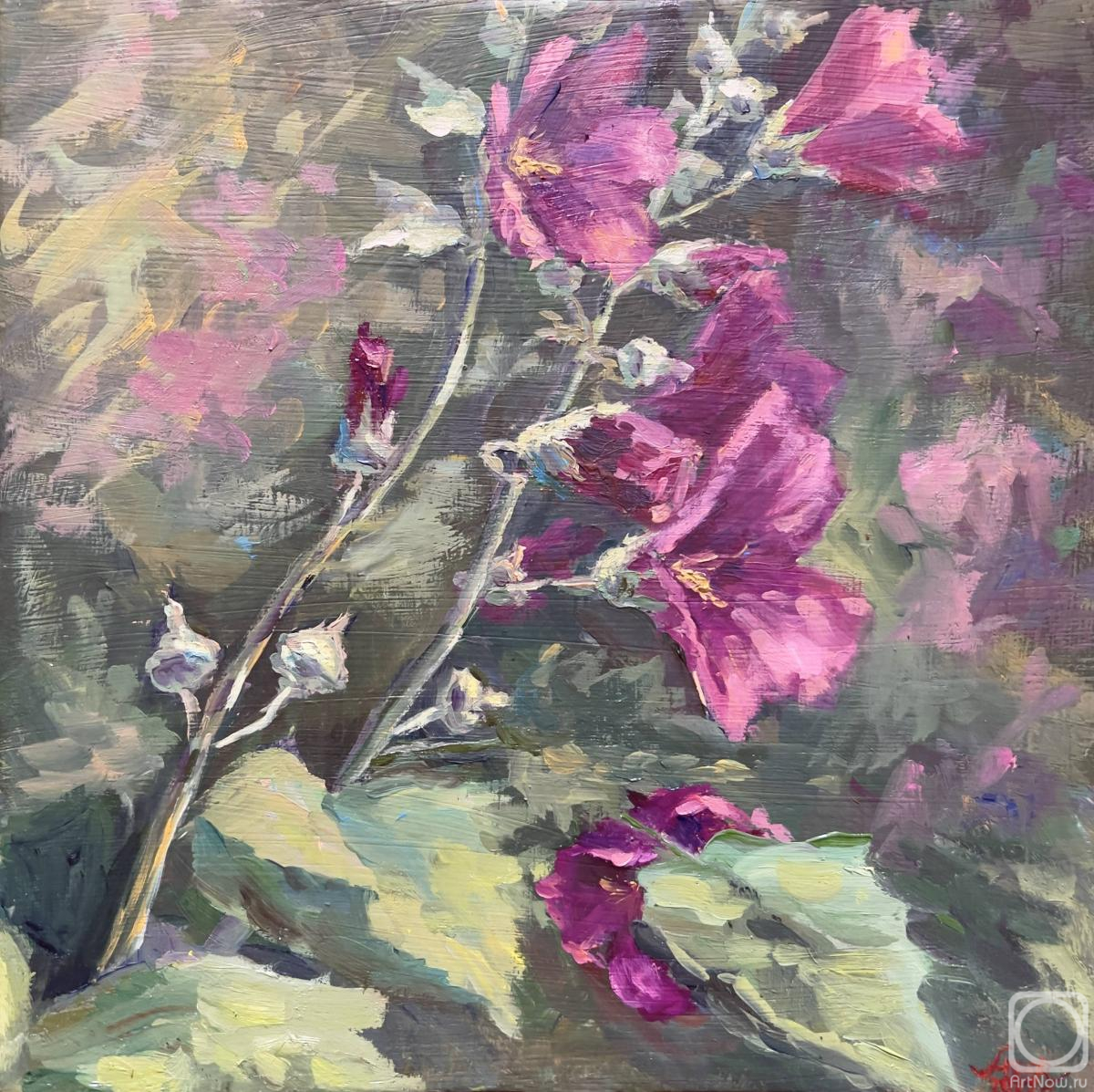 Averkieva Lyubov. Mallow