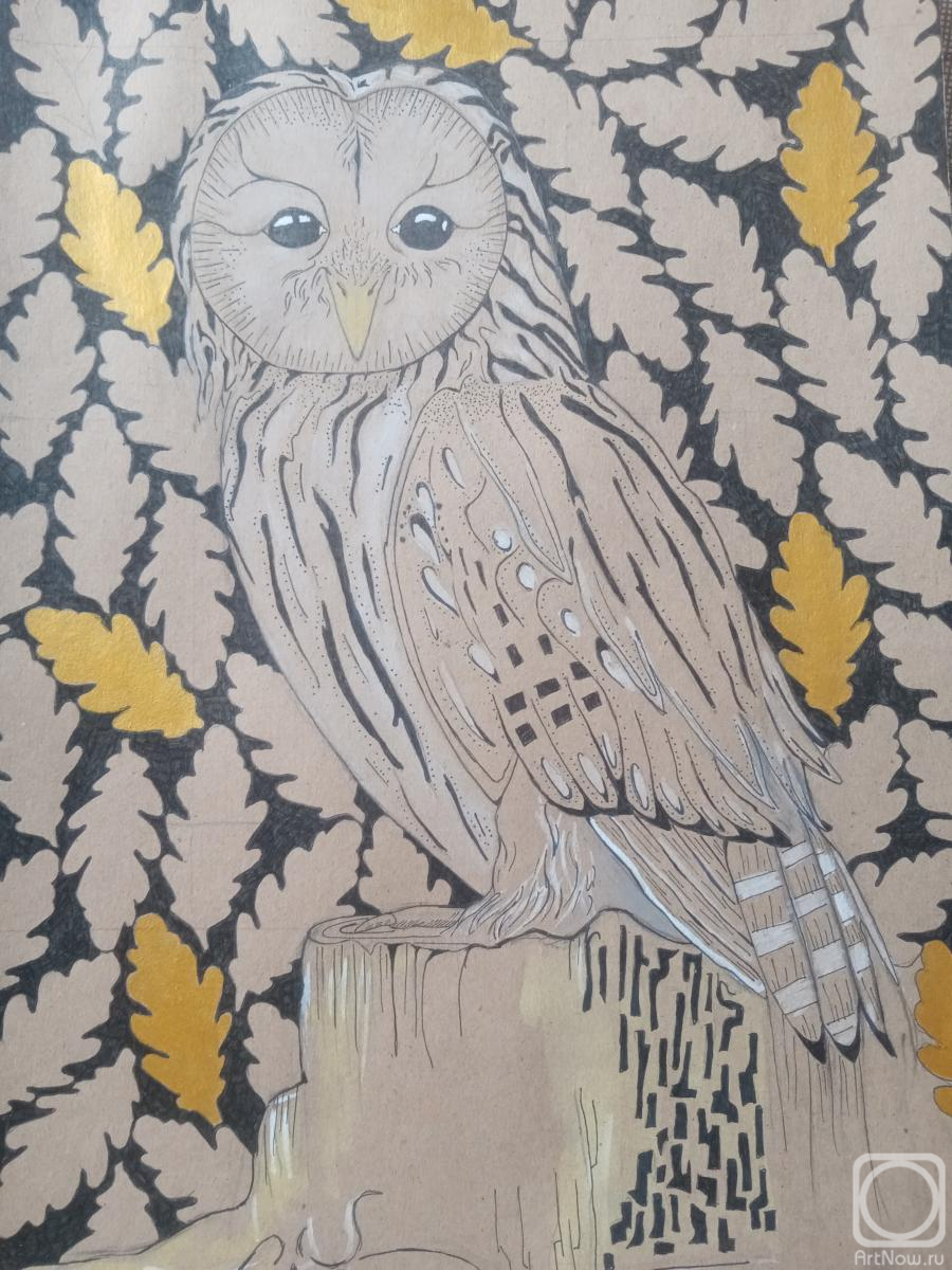 Sokolova Anna. Owl