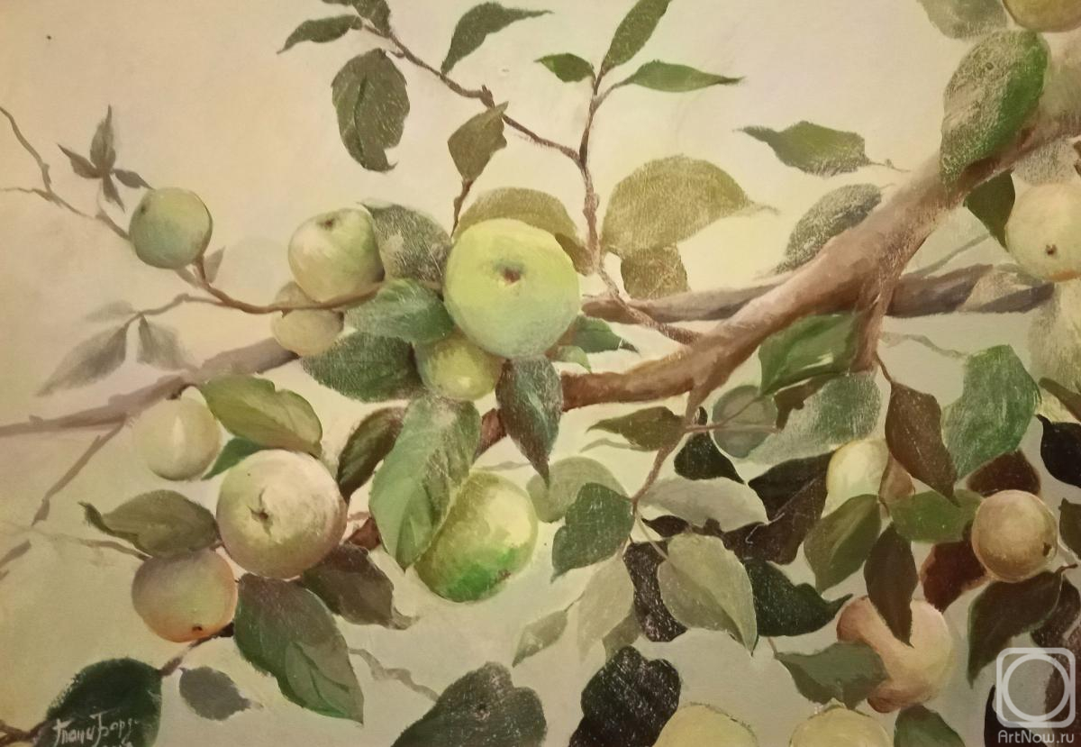 �������. ������� �������. ���������