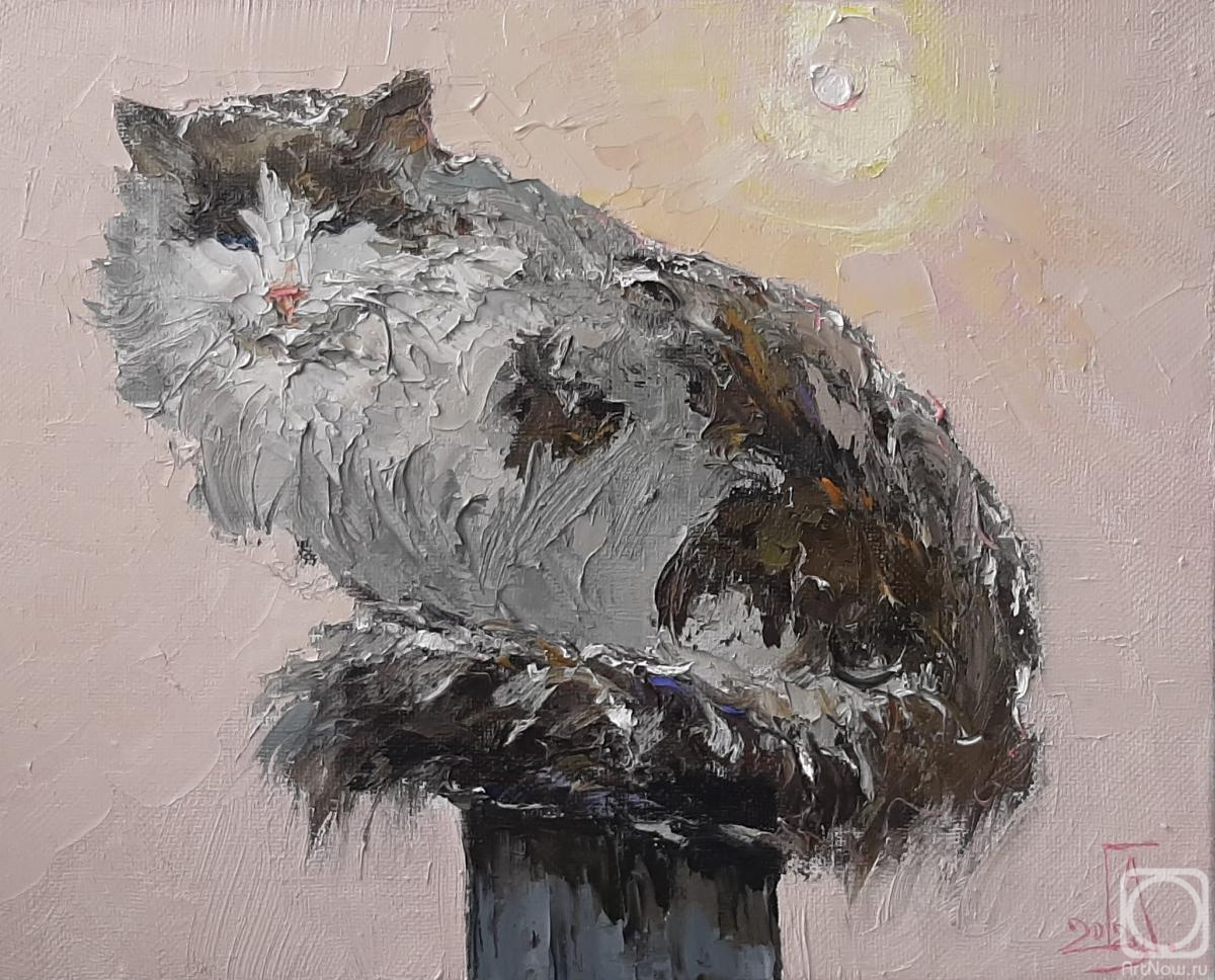 ������� ������ �� ������. ���������� �������. �������