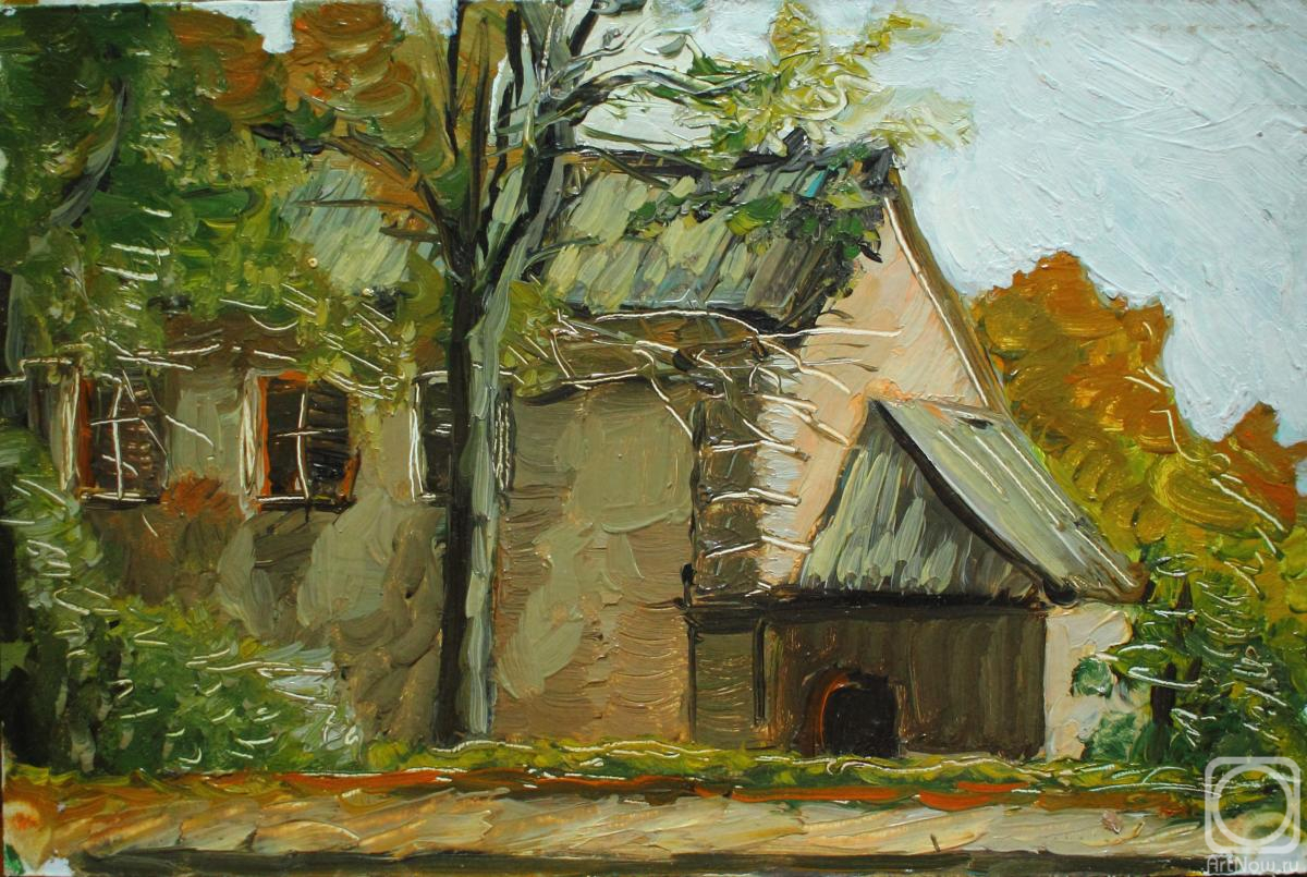 Fyodorova-Popova Tatyana. Vladimir houses