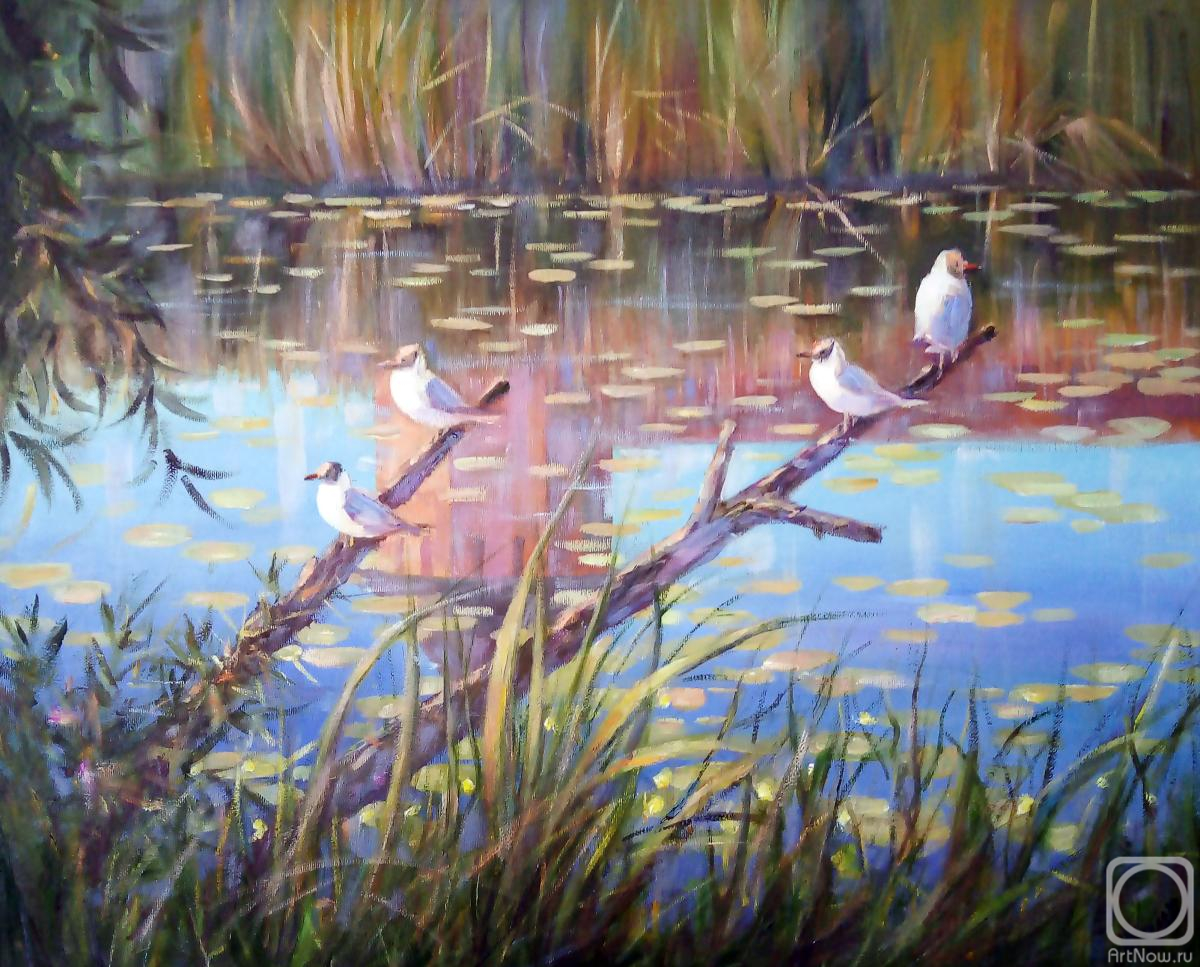 ������� ������ �� ������. ������ ������. ��� ��������