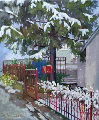 The snow in Belgrade. Drobenkova Elena