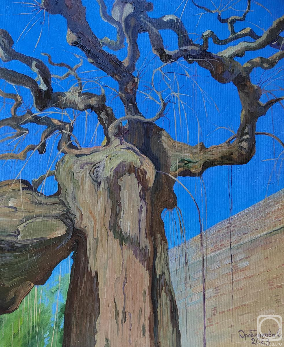 Drobenkova Elena. At the walls of Kalemegdan