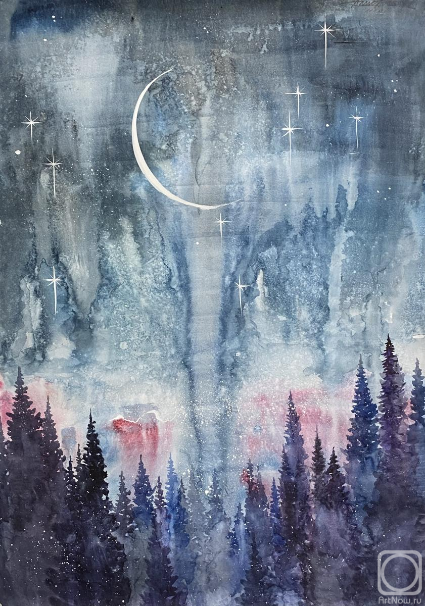 Shayunova Alisa. Night