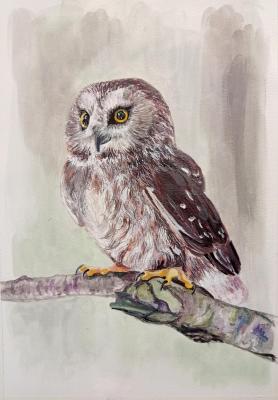 Owl. Romanova Irina