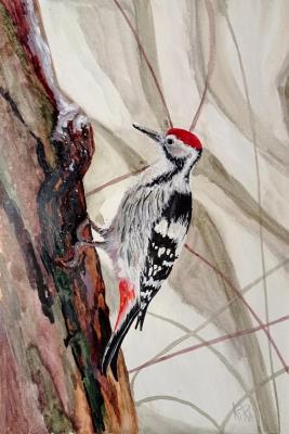 Woodpecker in the forest. Romanova Irina