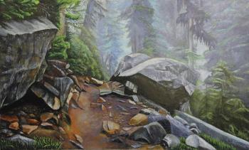 Forest trail. Boulder