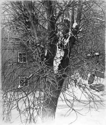 ������� ������� ����� 26�