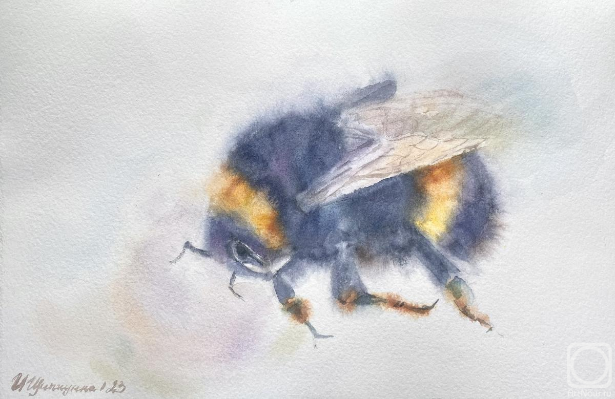Schipitsyna Irina. Bumblebee