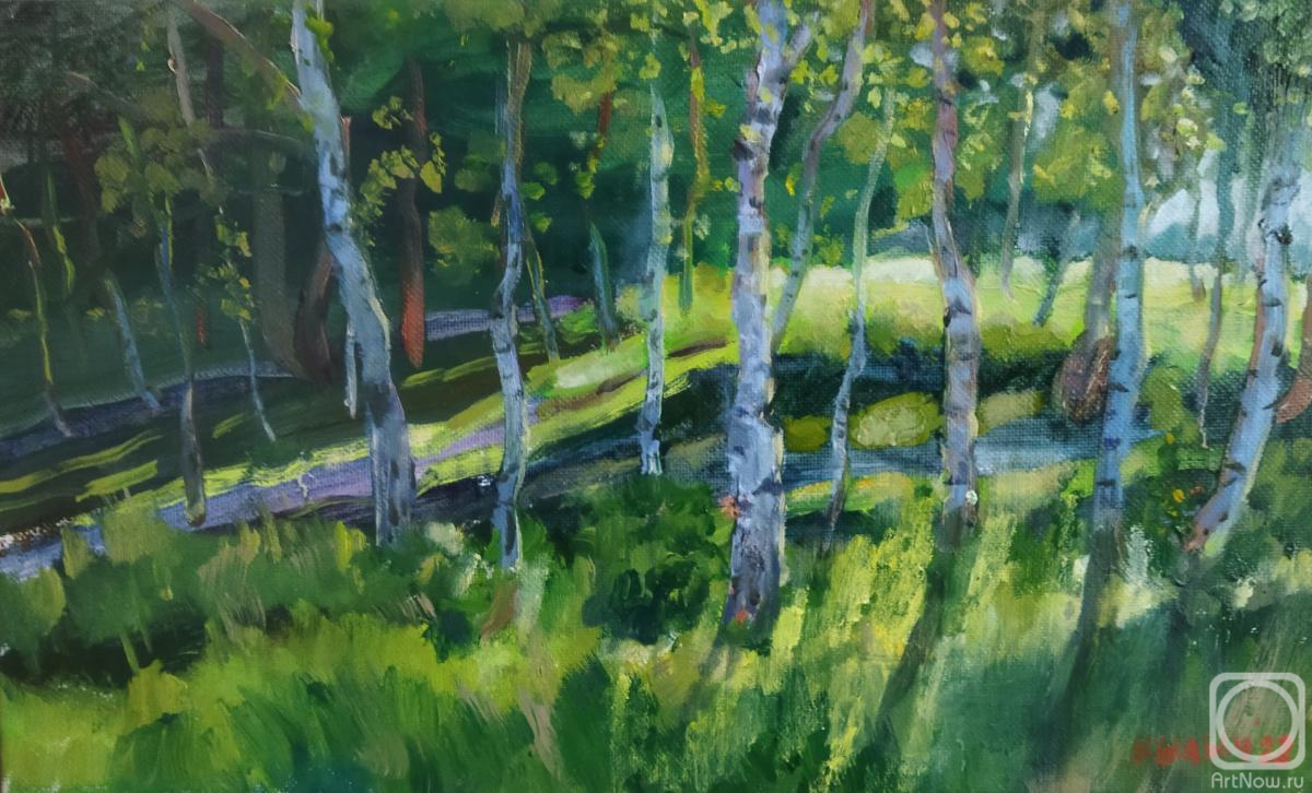 Kylych Lyudmila. The birch grove