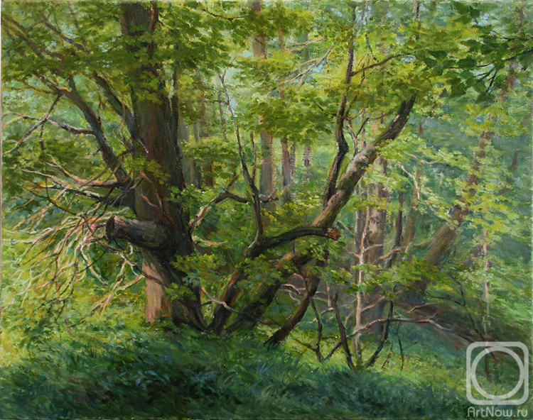 ������� ������ �� ������. �������� �����. � ����