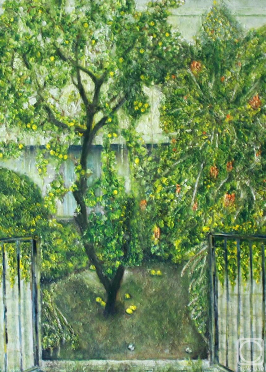 Vlasov Vyacheslav. A front garden with a lemon tree.Jerusalem
